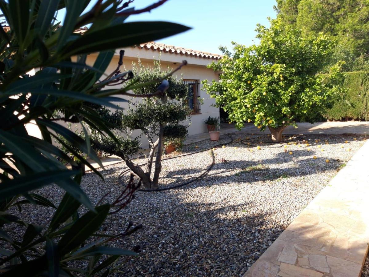 Villa Casa La Rana à Calafat Extérieur photo